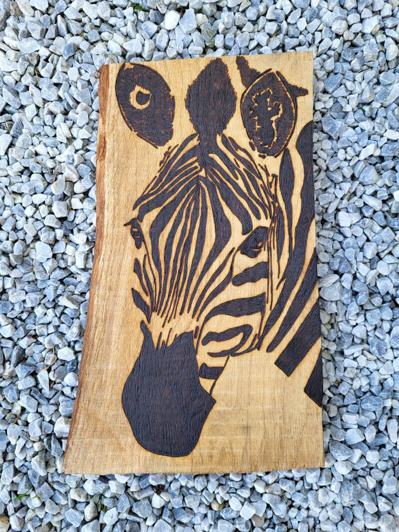 Zebra op eikenhout houtgebrand