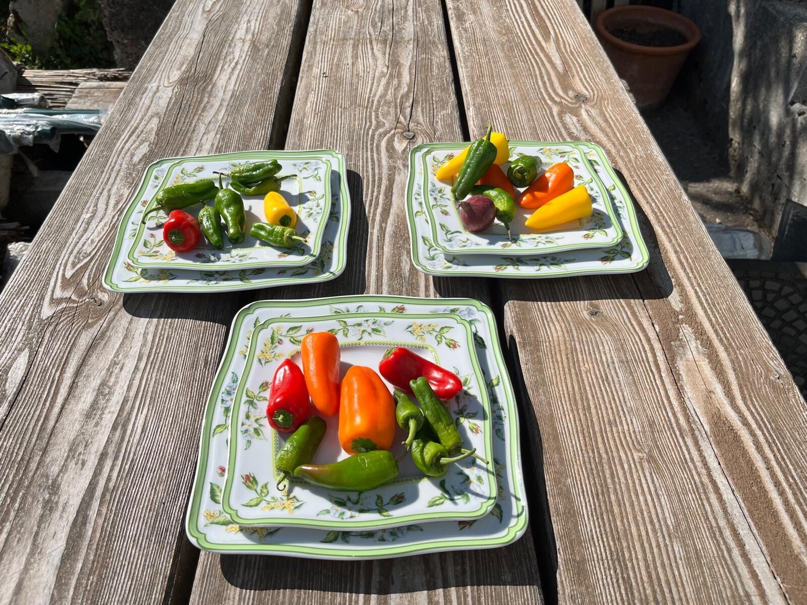 Plates with Flower Design