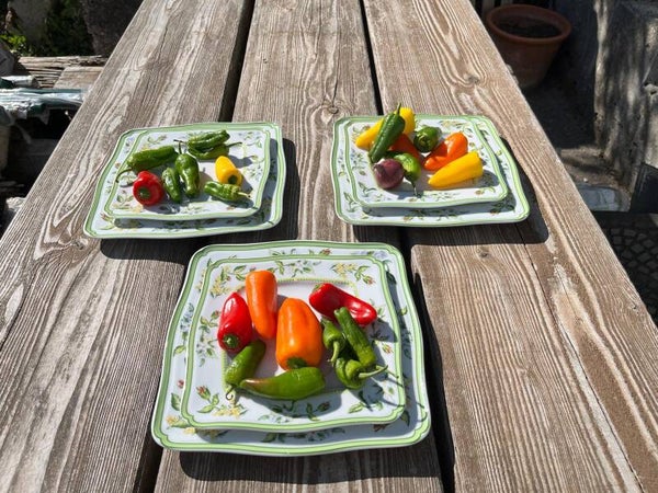 Plates with Flower Design