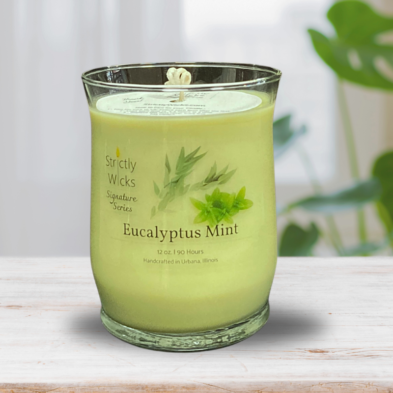 Eucalyptus Mint Scented Candle 12 ounce