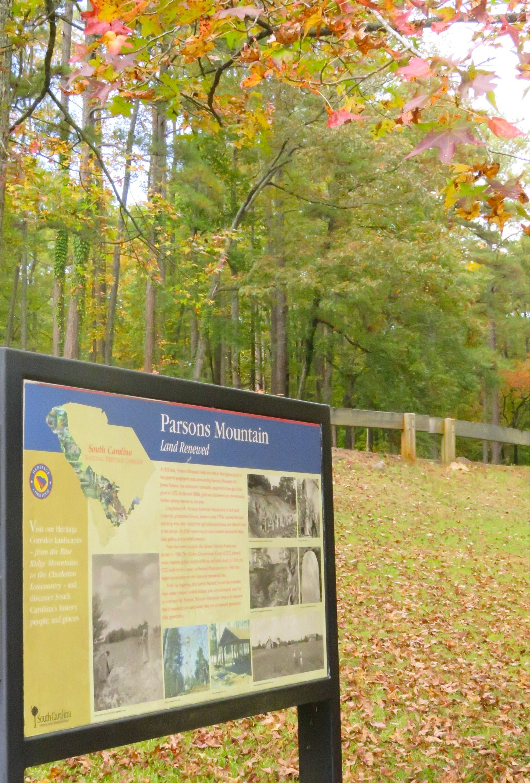 An Afternoon at Parson's Mountain