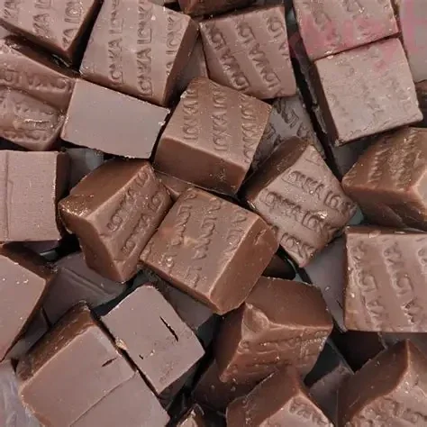 Caramel Chocolade Bruin Zacht  Fudge per 100 Gram