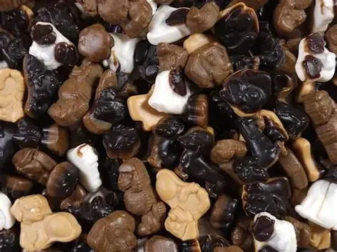 Katja Trouwe Rakkers