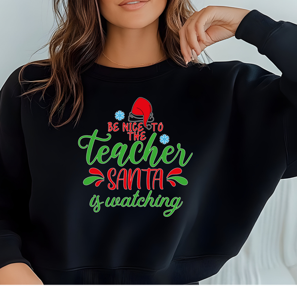 A0028 Nice to Teacher