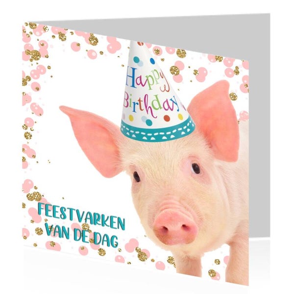 19. Feestvarken van de dag