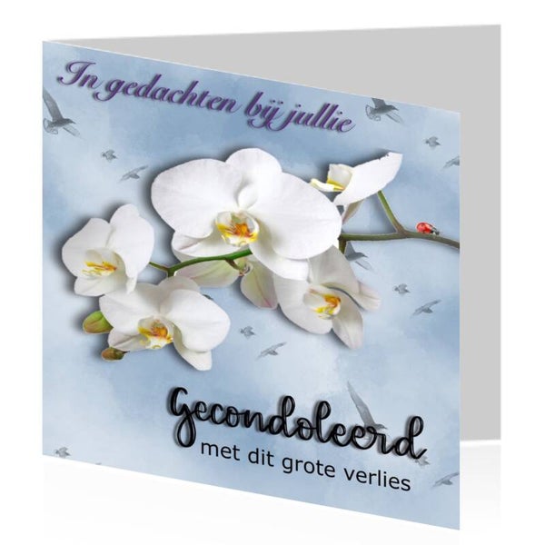 2. In gedachten bij jullie,.....