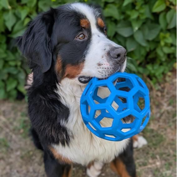 BALLE JW - HOL-EE ROLLER