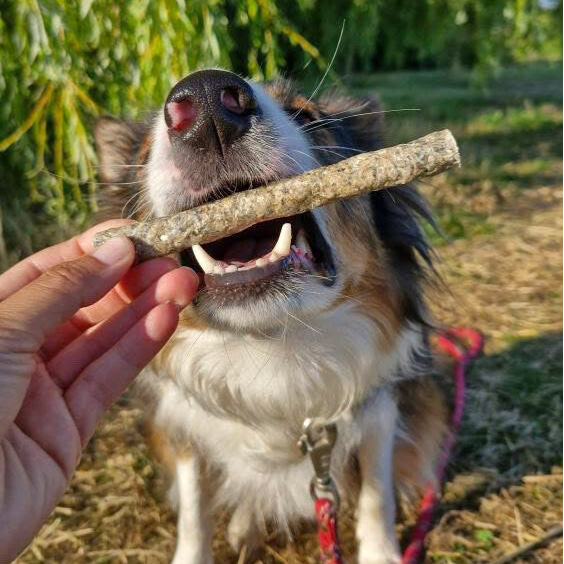 BÂTONNET DE CABILLAUD