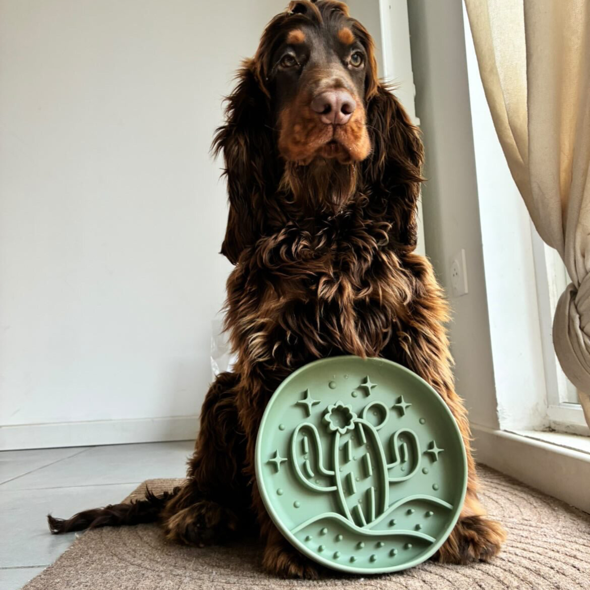 LICKIMAT JACK & VANILLA - CACTUS 🌵