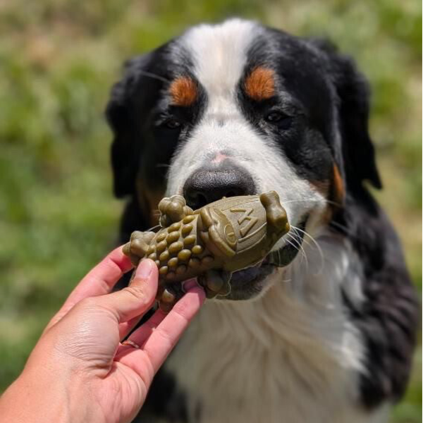 WHIMZEES - ALLIGATOR