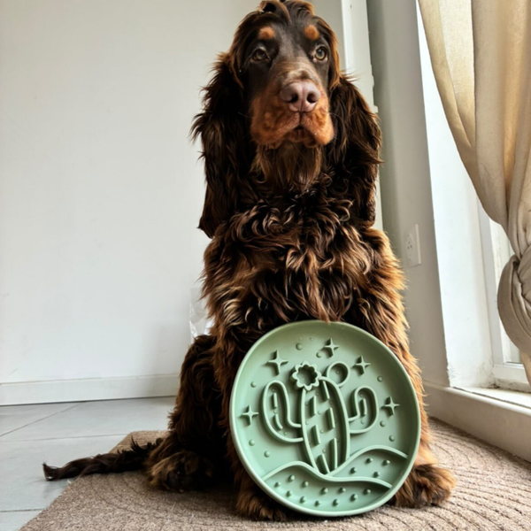 LICKIMAT JACK & VANILLA - CACTUS 🌵