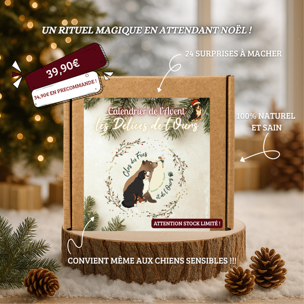 Calendrier de l’Avent 🎄