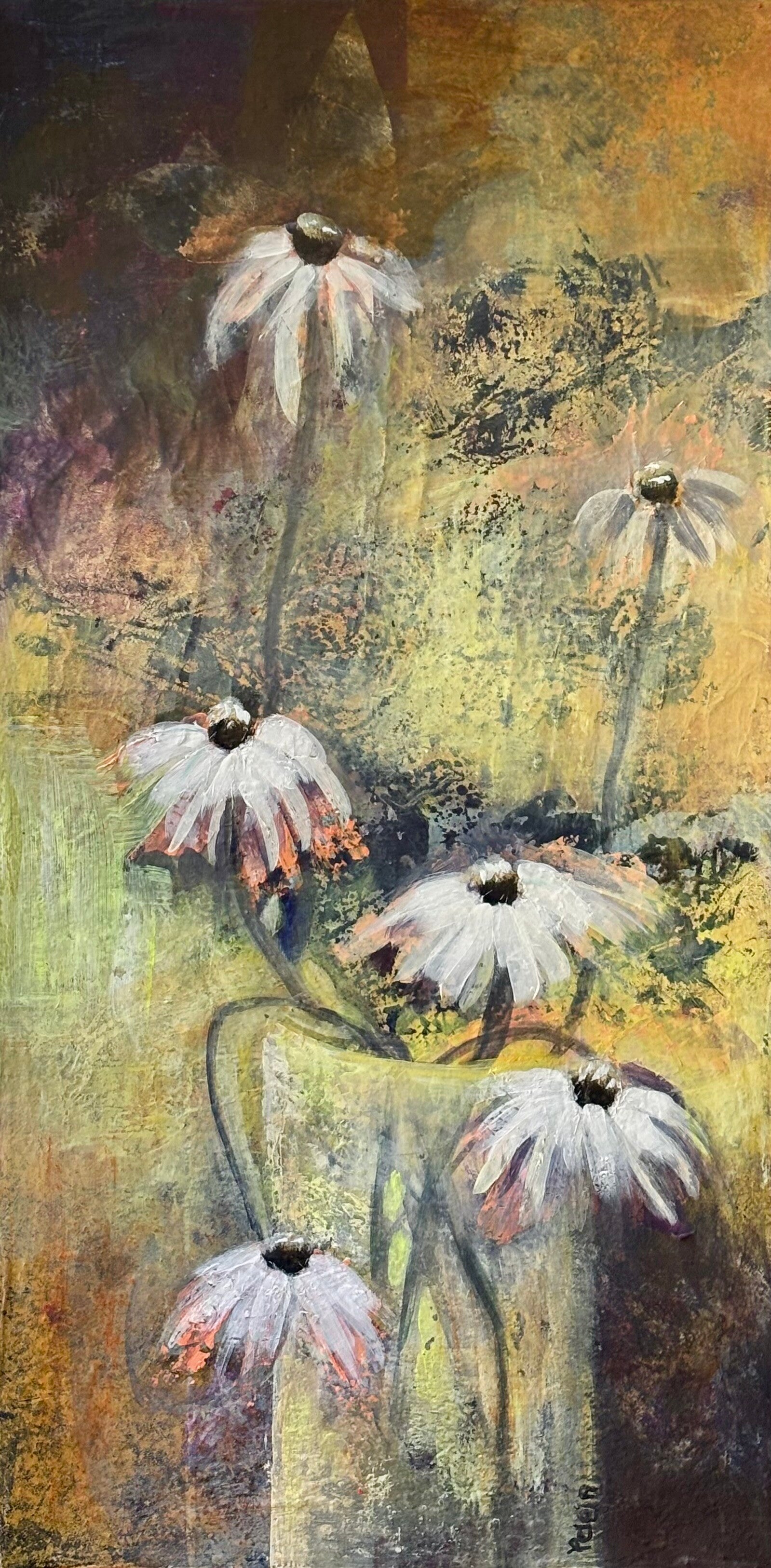 White Swan Coneflowers