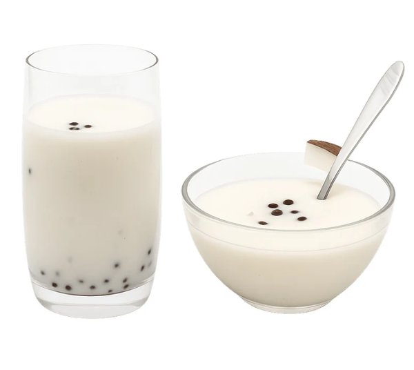 SanaSlank - Kokos Chocolade Shake