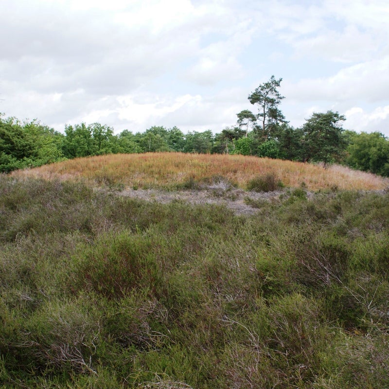 DSC00093-2.jpg