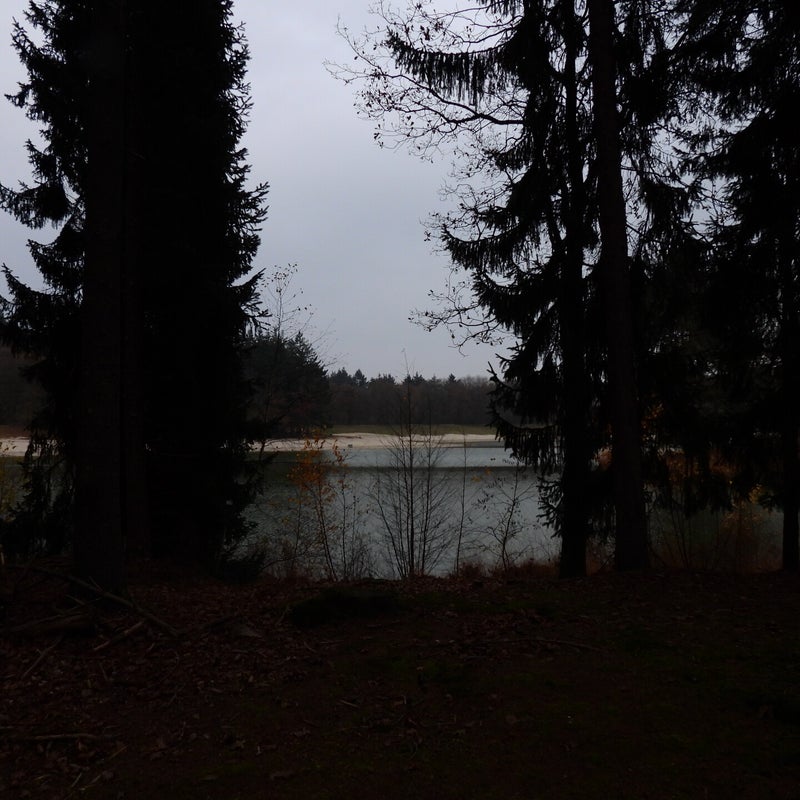 DSCN4330JPG.jpg
