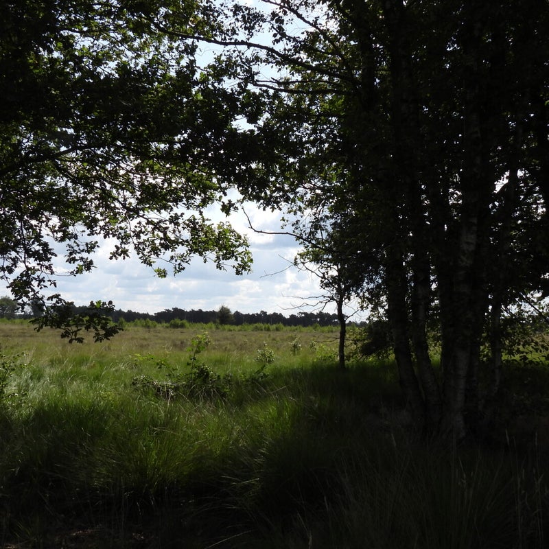 dscn7338jpg.jpg