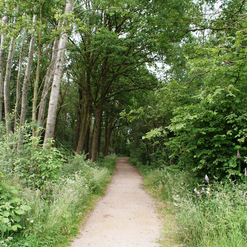 DSC00135-4.jpg