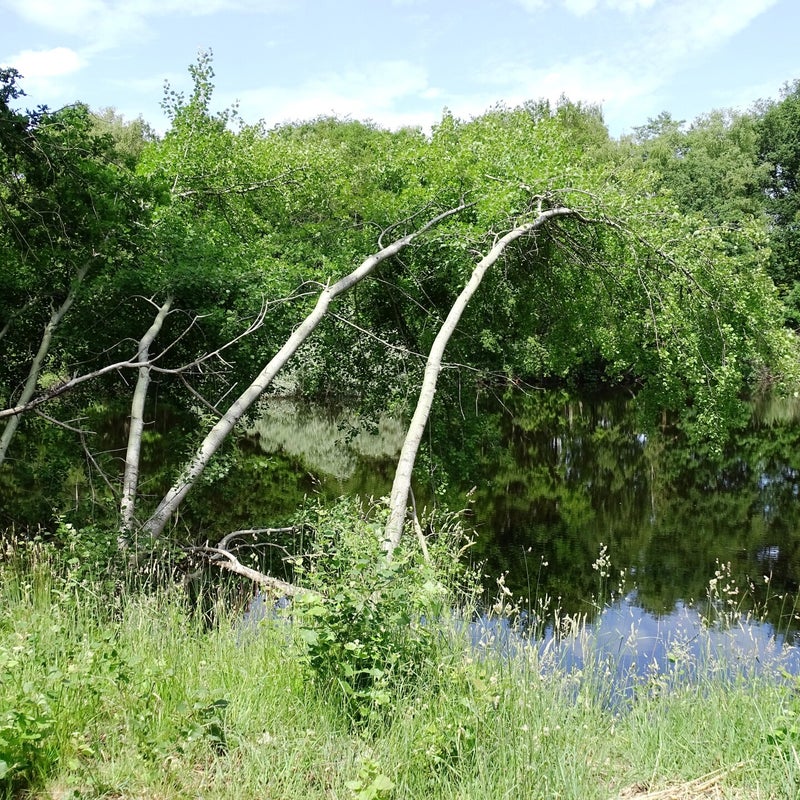 DSC00980.jpg