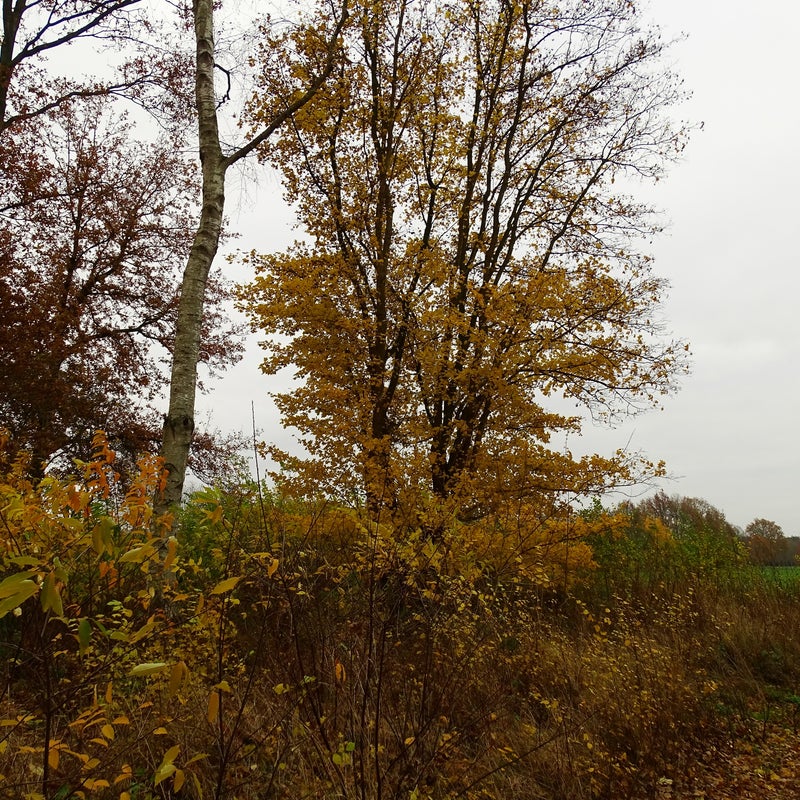 DSC05903JPG.jpg