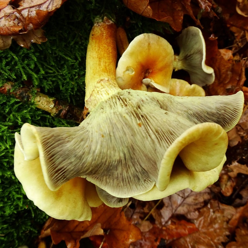 DSC05757JPG.jpg