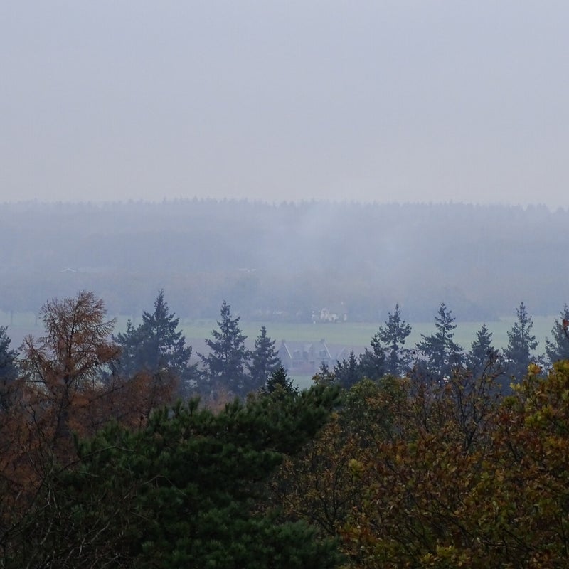 DSC05771JPG.jpg