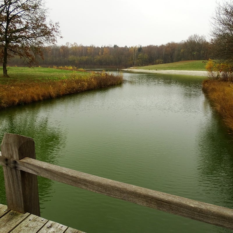 DSC06002JPG.jpg