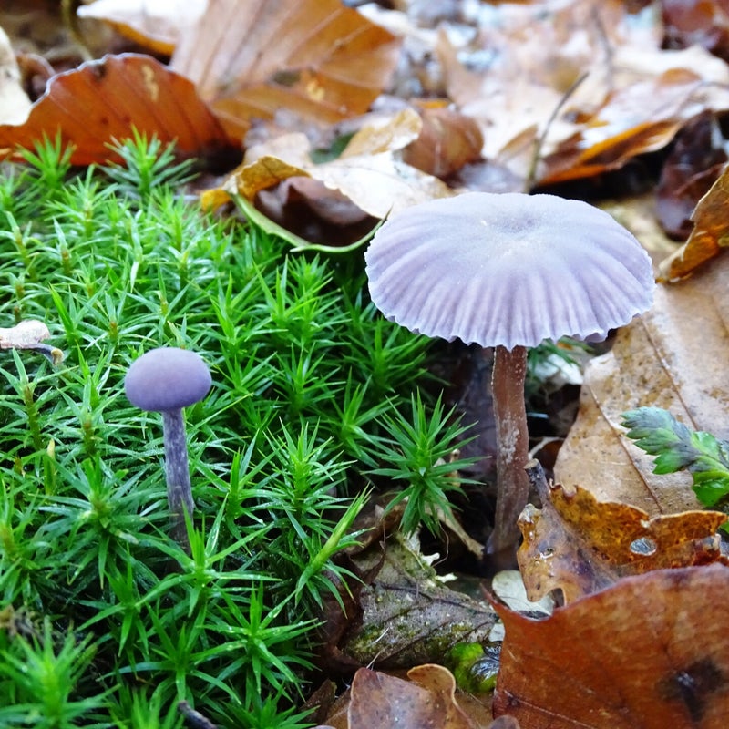 DSC05619JPG.jpg