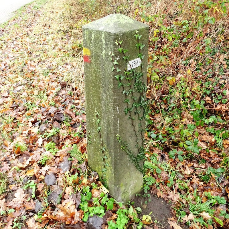 DSC06073JPG.jpg