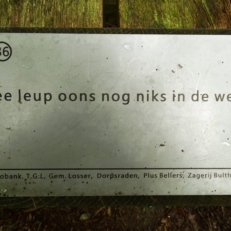 DSC03109-1.jpg