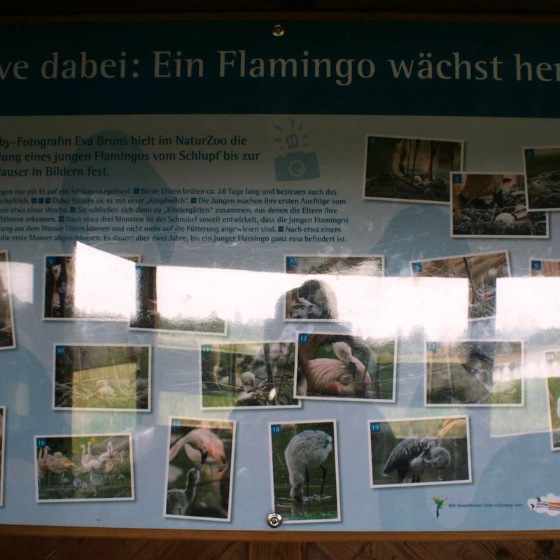 DSC00144-4.jpg