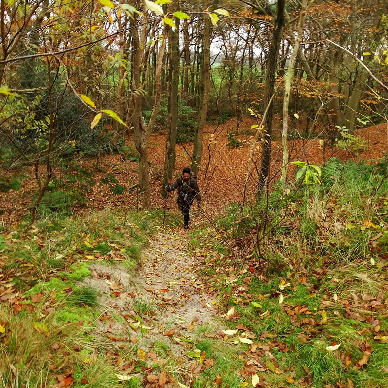 DSC05880JPG.jpg