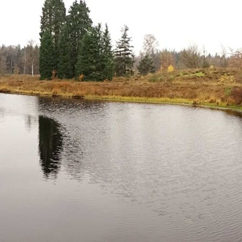 DSC05972JPG.jpg