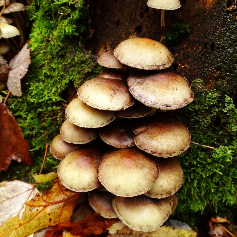 DSC05630JPG.jpg