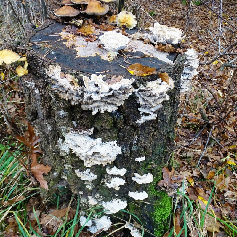 DSC05901JPG.jpg