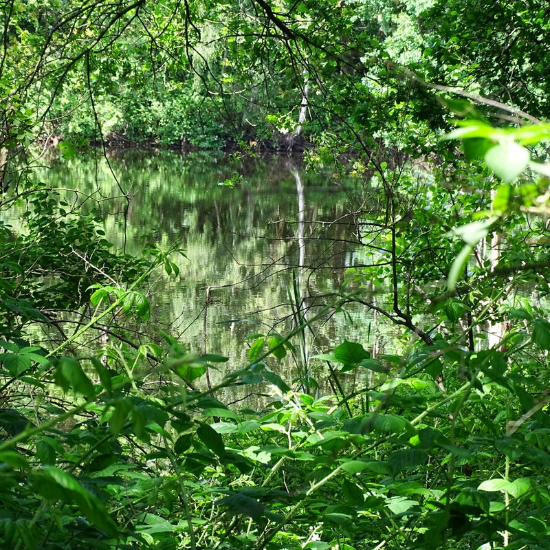 DSC00977.jpg