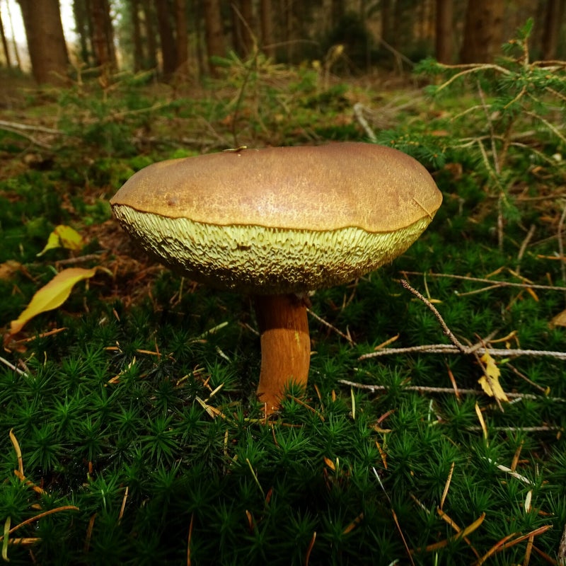 DSC05931JPG.jpg
