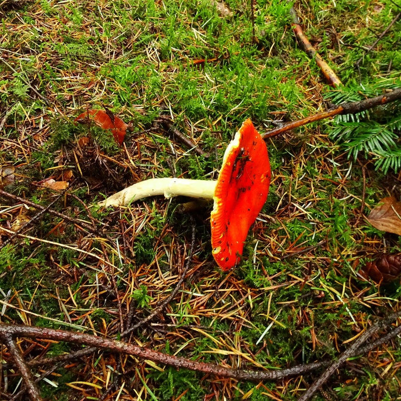 DSC05809JPG.jpg