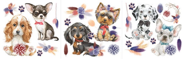 A Dogs Life – Petite Transfer