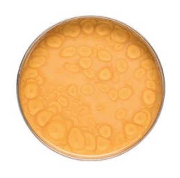 Decowax Gold Metalic