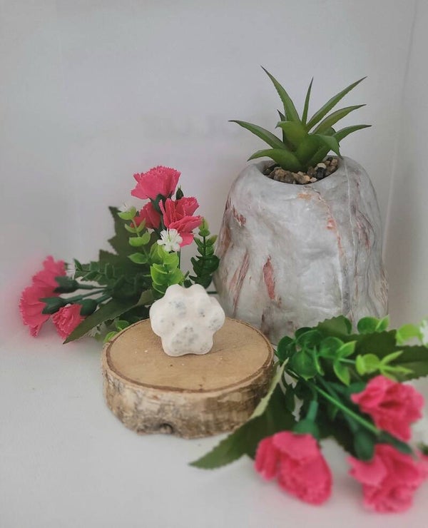 Menthe basilic citron vert