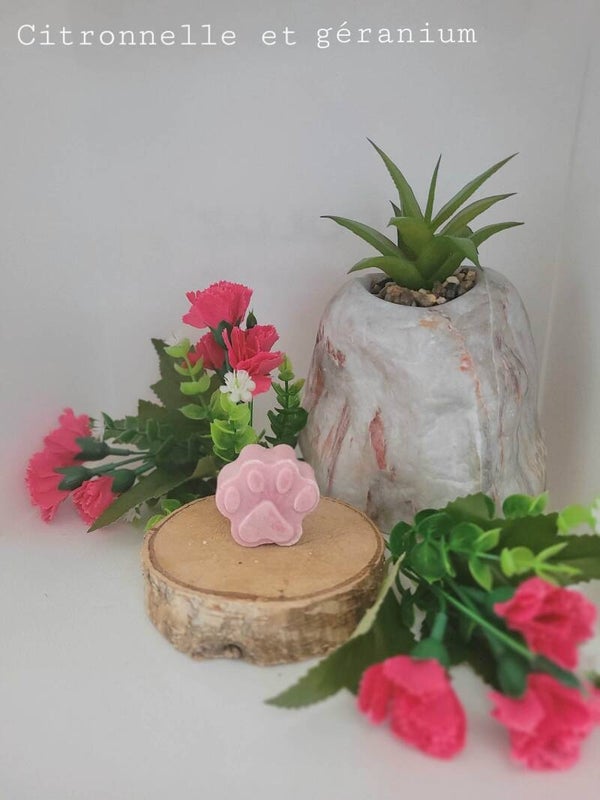 citronnelle et geranium
