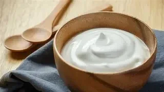 Yogurt - Lovers