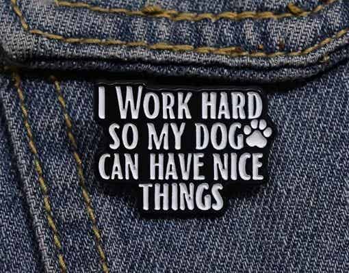 Nr. 247 - Pin (broche)