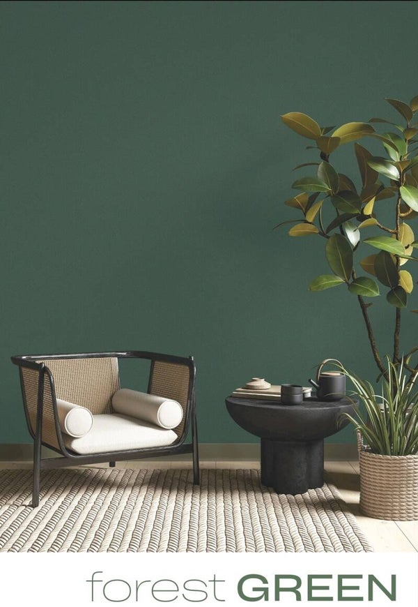 Bold Forest Green Wallpaper for Statement Walls /per SQM