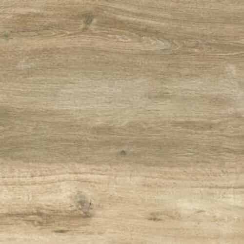 Sichenia Silvis Rovere