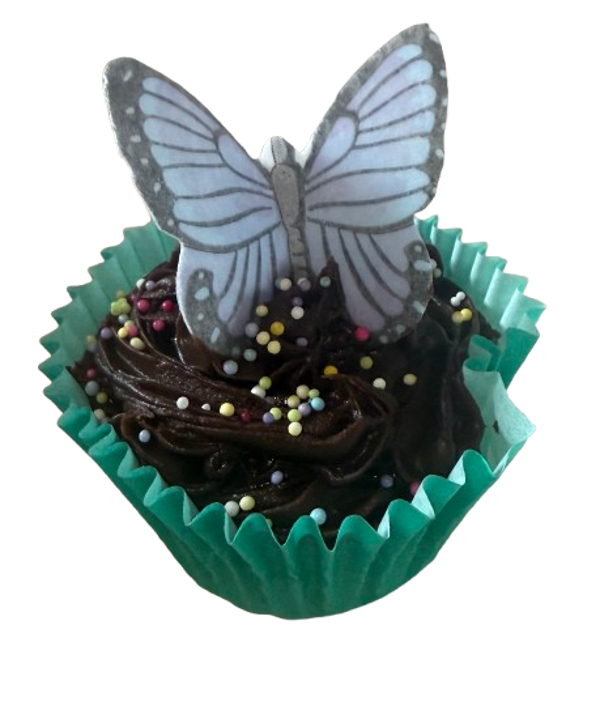 THE BUTTERFLY