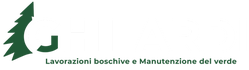 Ghilardi Lav. Boschive e Manutenzione del Verde