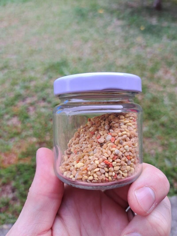 Pollen Frais