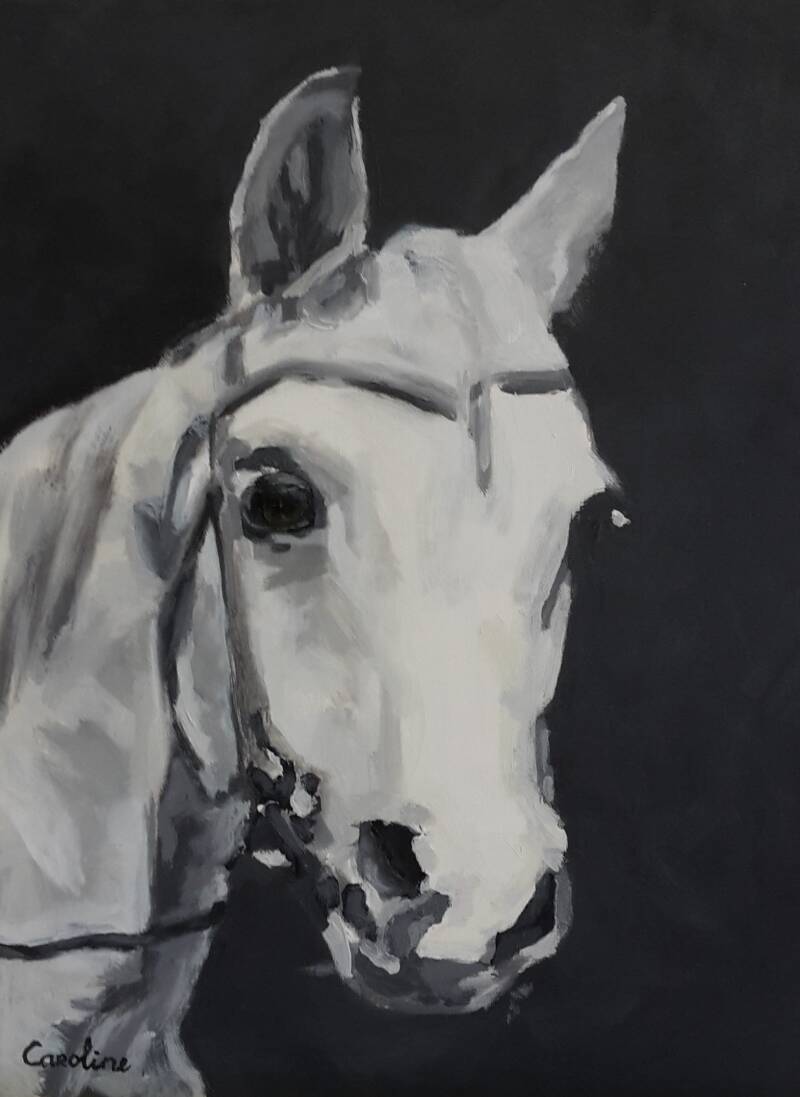 A horse with no name | verkocht